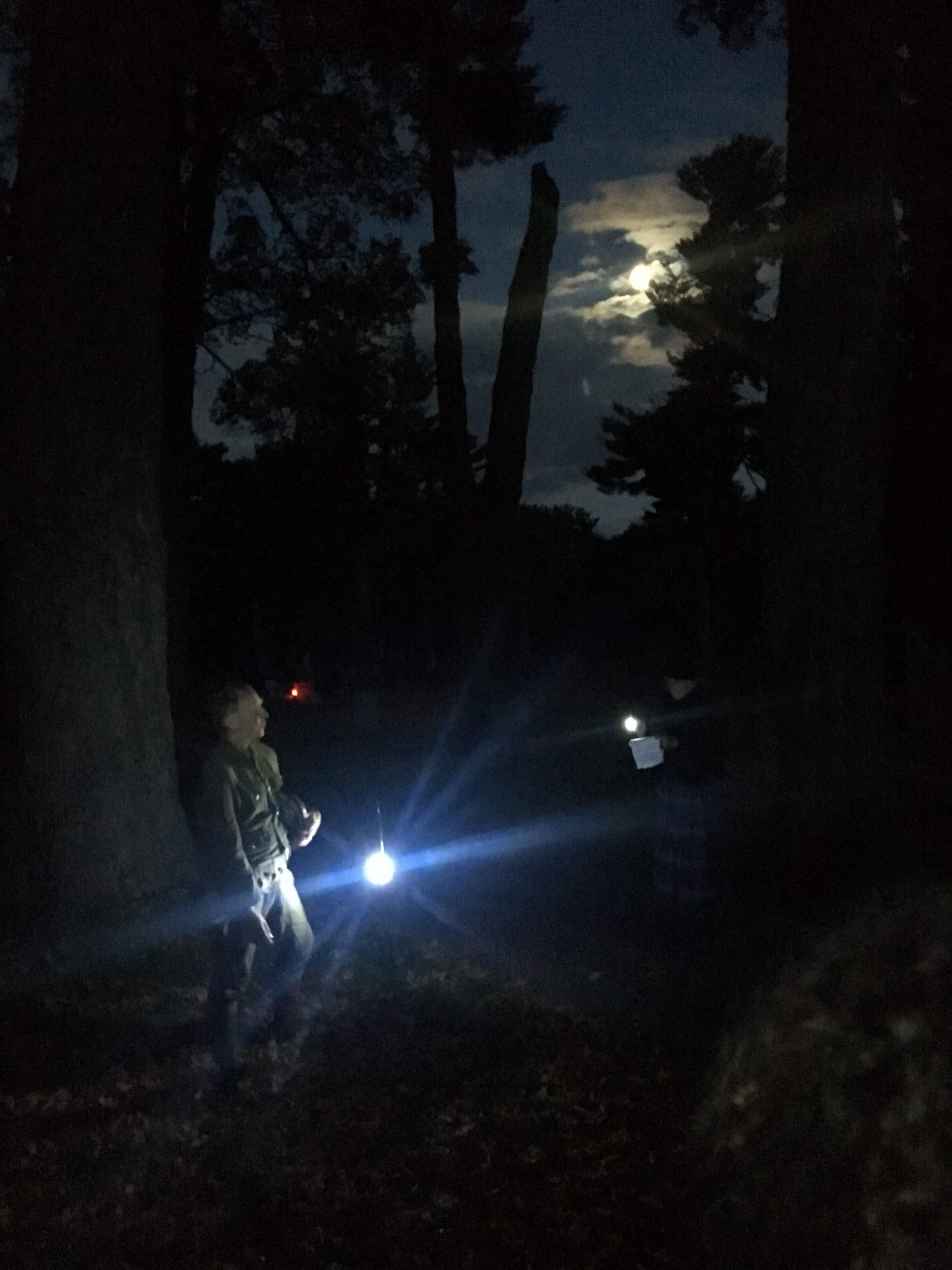 Evergreen Cemetary Lantern Tour